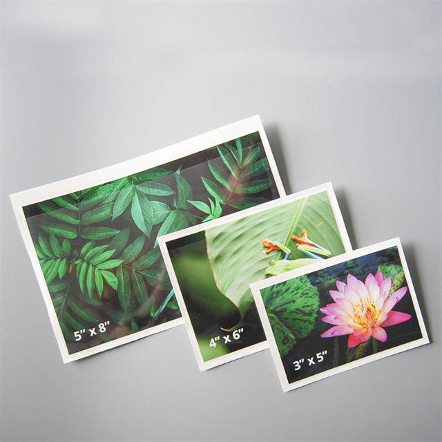 Self-adhesive Poly Pocket, Top Opening, 4'' x 6'' 