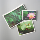 Self-adhesive Poly Pocket, Top Opening, 4'' x 6'' 