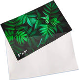 Self-adhesive Poly Pocket, Top Opening, 5'' x 8'' 