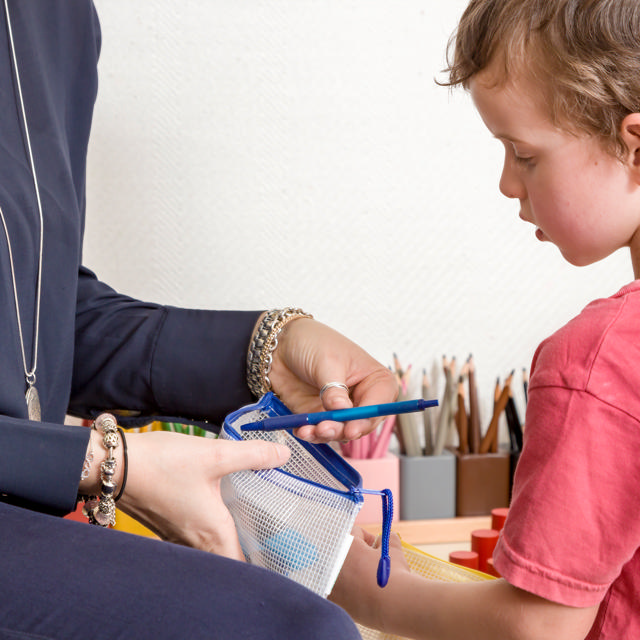 Zipper Storage Bags - Checkbook Size - Blue