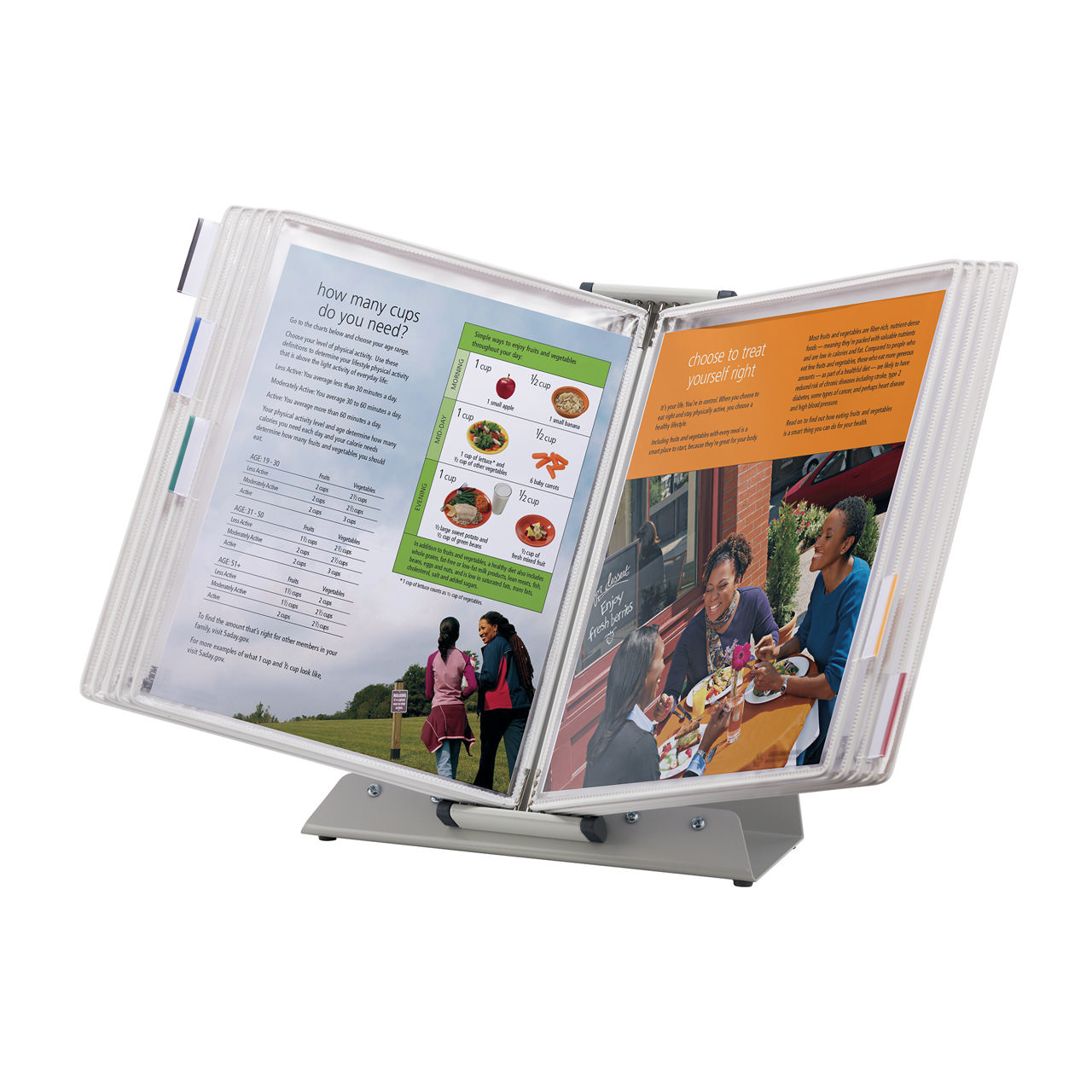 Tarifold Antimicrobial Desktop Reference & Display System - 10 White Pockets, Letter-Size