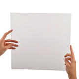 LP Sleeves for LP storage